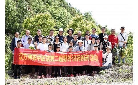 尋本草真源 探中藥奧秘——漢方神農(nóng)中醫(yī)館開(kāi)展第二屆野外識(shí)藥辨藥活動(dòng)！