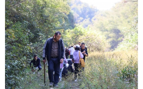 踏秋尋寶，聞香識藥！首屆神農(nóng)杯野外識藥大賽在株洲鳳凰山景區(qū)成功舉辦！
